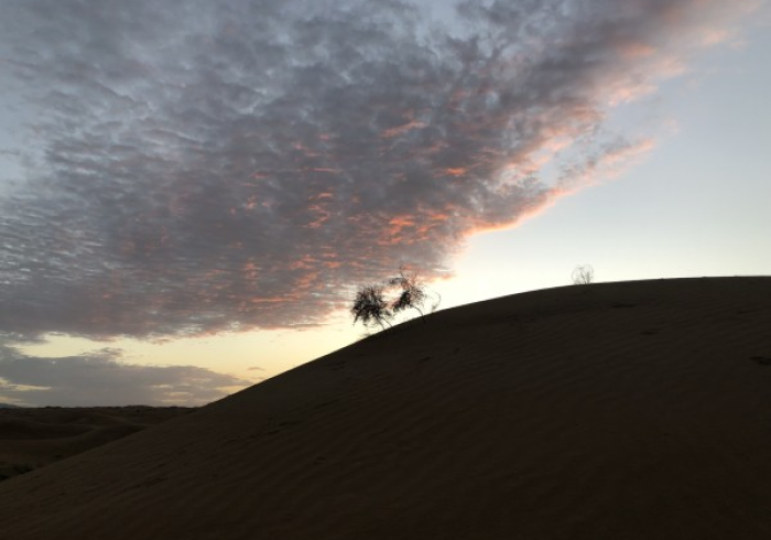 银川静默,黄河之滨的坚韧与苏醒 银川静默,黄河之滨的坚韧与苏醒