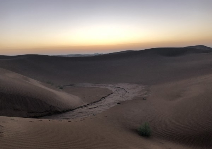 银川静默,黄河之滨的坚韧与苏醒 银川静默,黄河之滨的坚韧与苏醒