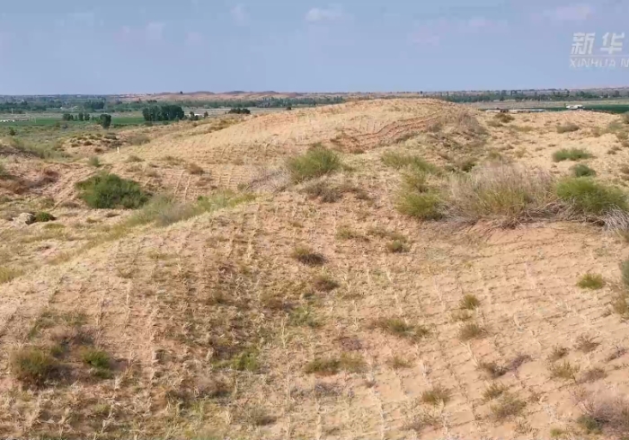 银川战疫,黄沙与绿码间的西北韧性 银川战疫,黄沙与绿码间的西北韧性