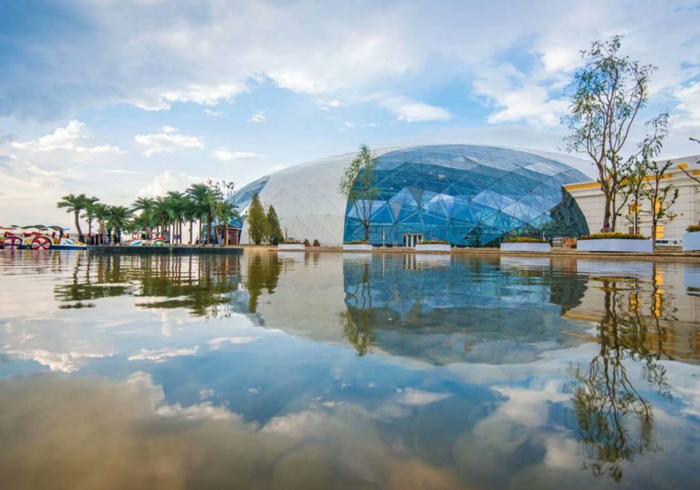 银川战疫,黄沙与绿码间的西北韧性 银川战疫,黄沙与绿码间的西北韧性