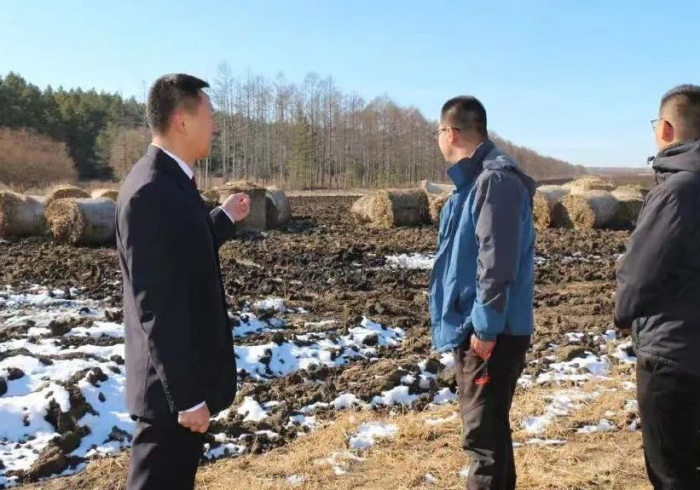 卫健委医政处长,黑土地上的隐形守护者 卫健委医政处长,黑土地上的隐形守护者