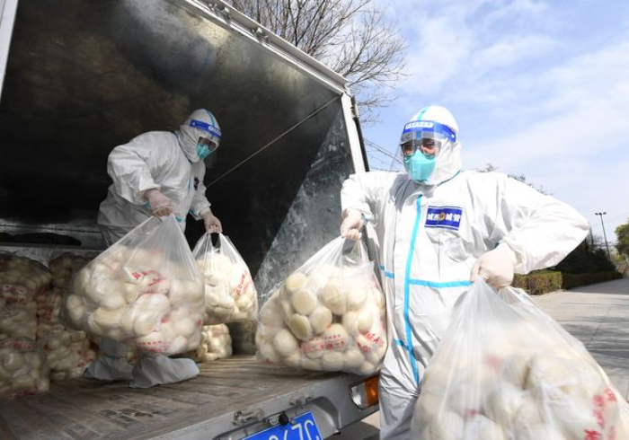 哈尔滨战疫,寒地黑土上的坚韧与微光 哈尔滨战疫,寒地黑土上的坚韧与微光