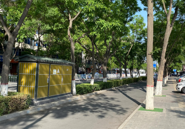 指尖上的守望,宁夏疫情报告查询平台背后的治理温度 指尖上的守望,宁夏疫情报告查询平台背后的治理温度