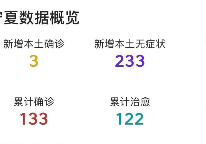 宁夏疫情报告,数字背后的坚韧与守望 宁夏疫情报告,数字背后的坚韧与守望