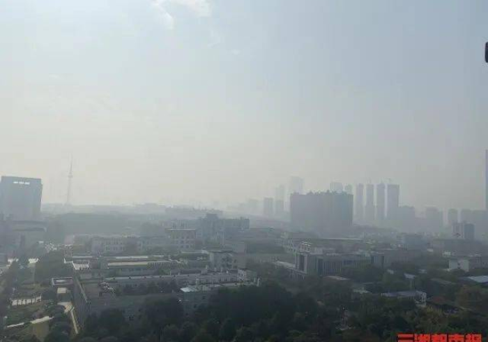 黑龙江疫情压峰转段中的坚韧与天津晴冷天气下的城市脉动 黑龙江疫情压峰转段中的坚韧与天津晴冷天气下的城市脉动