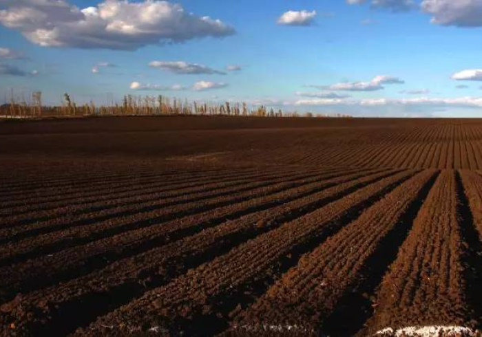 当疫情再临黑土地,韧性、温度与科学的三重变奏 当疫情再临黑土地,韧性、温度与科学的三重变奏