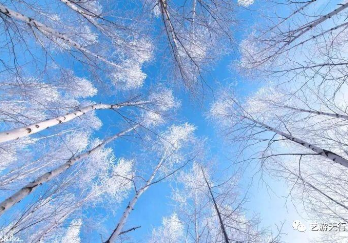 疫情通报的黑龙江模式,在冰封之地传递滚烫真相 疫情通报的黑龙江模式,在冰封之地传递滚烫真相