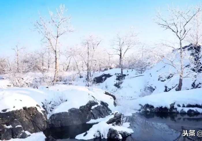 疫情通报的黑龙江模式,在冰封之地传递滚烫真相 疫情通报的黑龙江模式,在冰封之地传递滚烫真相