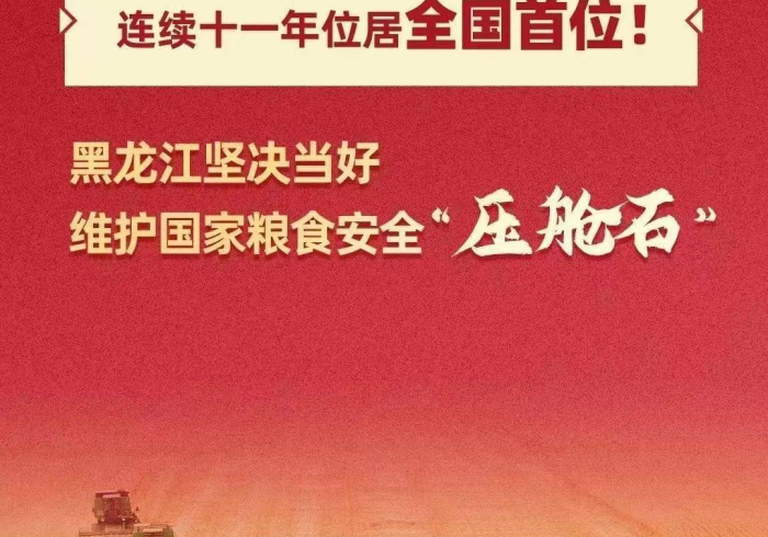 黑龙江疫情,数字背后的坚韧与守望 黑龙江疫情,数字背后的坚韧与守望