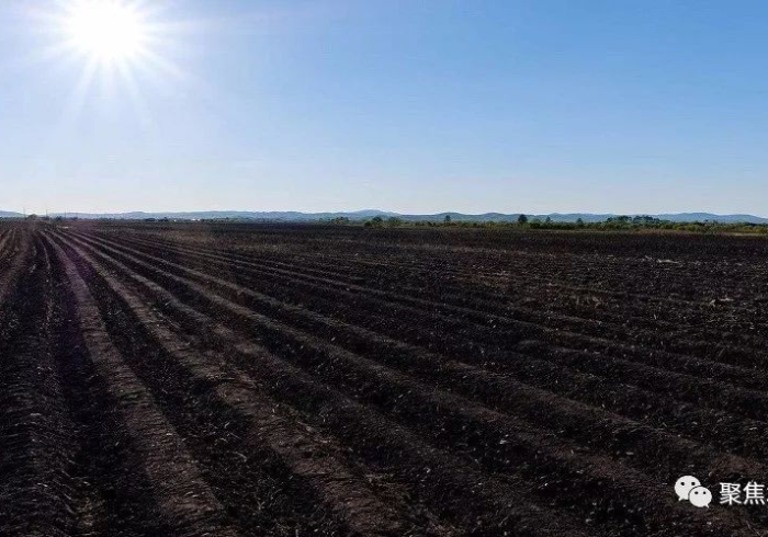 黑土地上的静与动,黑龙江疫情区的双重叙事 黑土地上的静与动,黑龙江疫情区的双重叙事