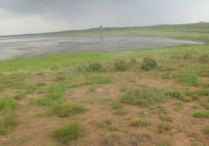 宁夏战疫,民族自治区的石榴籽防线 宁夏战疫,民族自治区的石榴籽防线