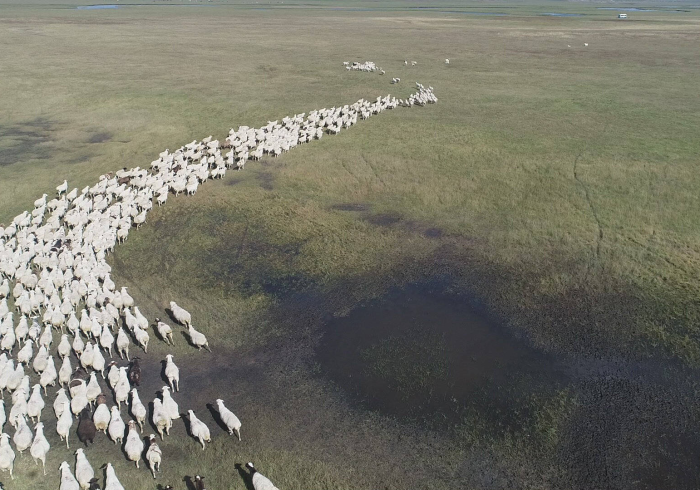 宁夏战疫,黄河水浇灌的团结之花与坚韧之城 宁夏战疫,黄河水浇灌的团结之花与坚韧之城