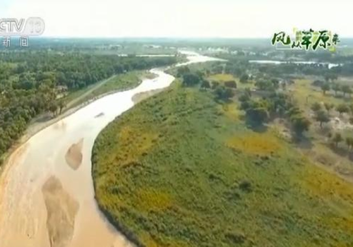 宁夏战疫,黄河水浇灌的团结之花与坚韧之城 宁夏战疫,黄河水浇灌的团结之花与坚韧之城