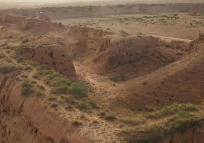 宁夏战疫,黄土地上的坚韧长城 宁夏战疫,黄土地上的坚韧长城