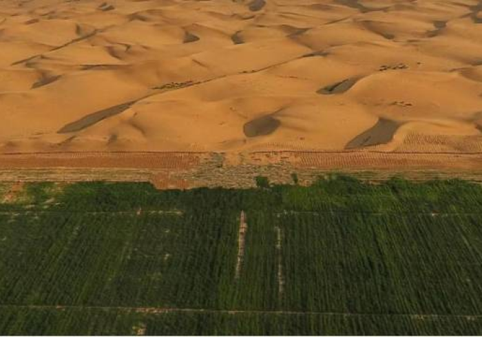 银川战疫,大漠绿洲的坚韧与温度 银川战疫,大漠绿洲的坚韧与温度