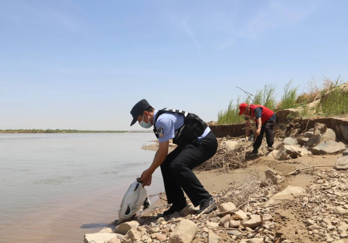 宁夏疫情,黄河岸边的坚韧与守护 宁夏疫情,黄河岸边的坚韧与守护