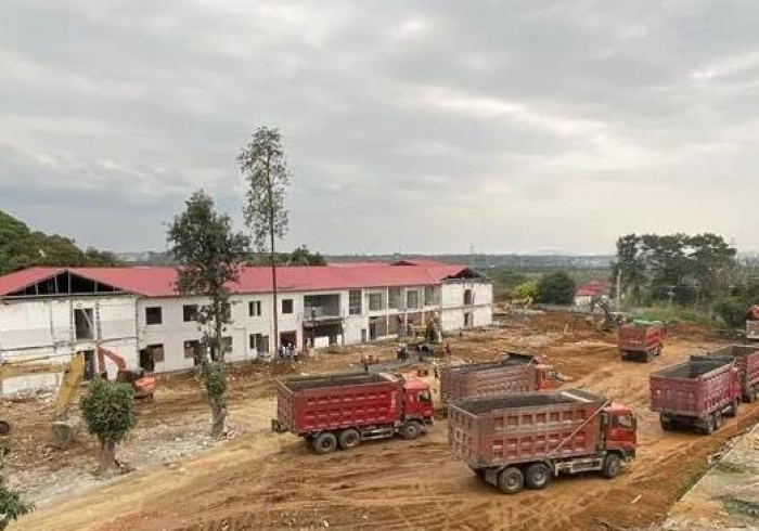 指尖上的战疫防线，广西疫情报告查询系统的公共价值与人文温度