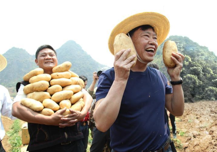 数据背后的坚守,广西疫情报告如何织就边陲健康防线 数据背后的坚守,广西疫情报告如何织就边陲健康防线