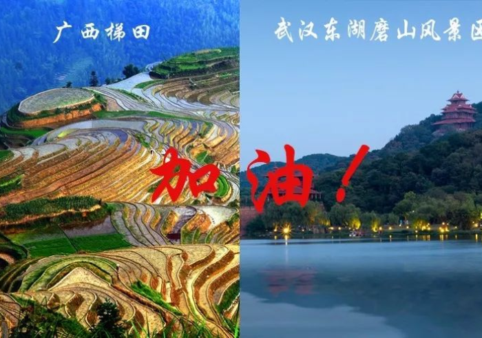 广西对武汉疫情支援,跨越千里的山水情 广西对武汉疫情支援,跨越千里的山水情