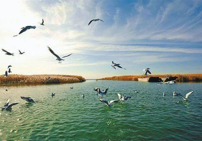 广西对武汉疫情支援,跨越千里的山水情 广西对武汉疫情支援,跨越千里的山水情