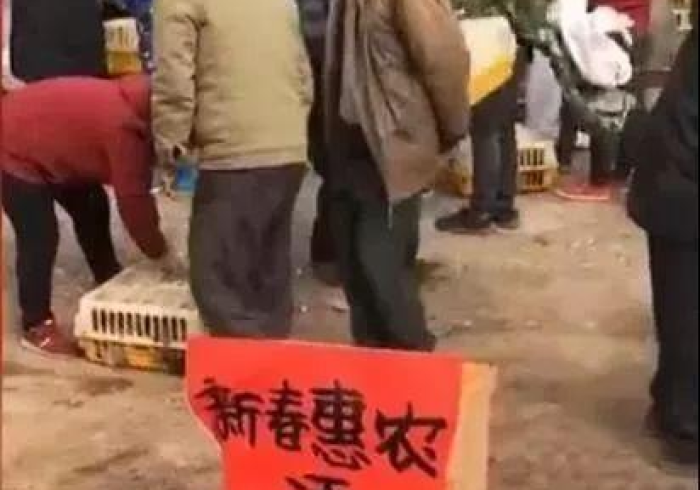 文件无声处,听惊雷,一份广西防疫文件背后的治理密码 文件无声处,听惊雷,一份广西防疫文件背后的治理密码