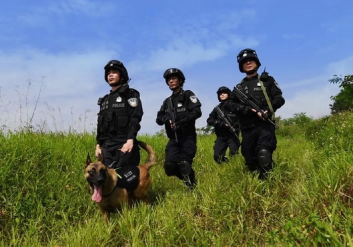 广西战疫，南疆屏障上的韧性坚守与人文温度