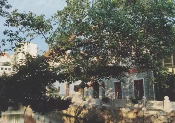 广西没有福州市,一场地名记忆的纠葛与探寻 广西没有福州市,一场地名记忆的纠葛与探寻