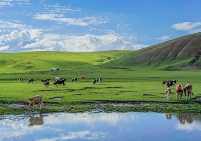 地图上的双生花,当广西山水遇见内蒙古草原 地图上的双生花,当广西山水遇见内蒙古草原