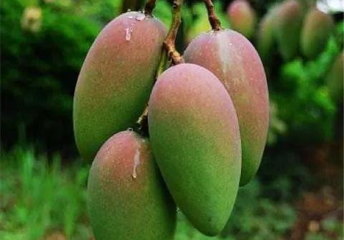 地理的错位与认知的拼图,当广西属于河北 地理的错位与认知的拼图,当广西属于河北