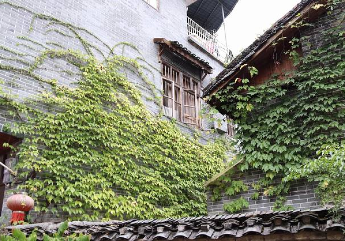 疫情下的广西县域,坚韧的毛细血管与希望的微光 疫情下的广西县域,坚韧的毛细血管与希望的微光