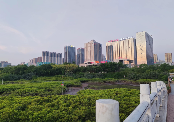 广西的地区之谜,消失的行政区划与永恒的地理印记 广西的地区之谜,消失的行政区划与永恒的地理印记