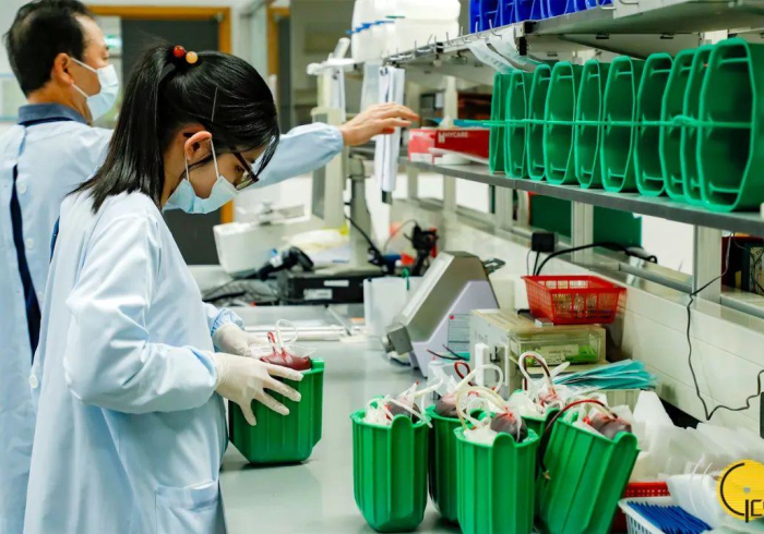 澳门疫情管制与哈尔滨最新消息,双城记中的中国防疫辩证法 澳门疫情管制与哈尔滨最新消息,双城记中的中国防疫辩证法