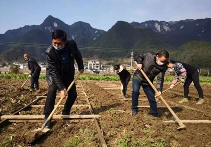 澳门动态清零与重庆精准防控,疫情下的双城辩证法 澳门动态清零与重庆精准防控,疫情下的双城辩证法