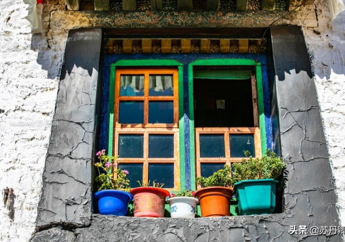 澳门拉萨双城记,疫情下的坚守与烟火气的回归 澳门拉萨双城记,疫情下的坚守与烟火气的回归