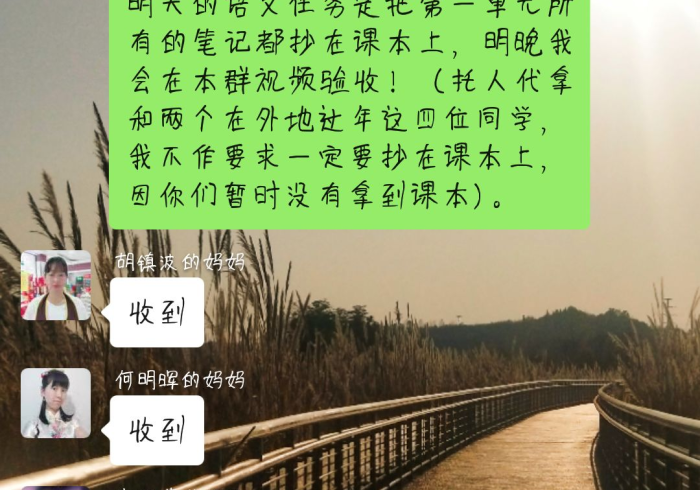 澳门应对疫情,小城大智慧,守护莲花宝地 澳门应对疫情,小城大智慧,守护莲花宝地