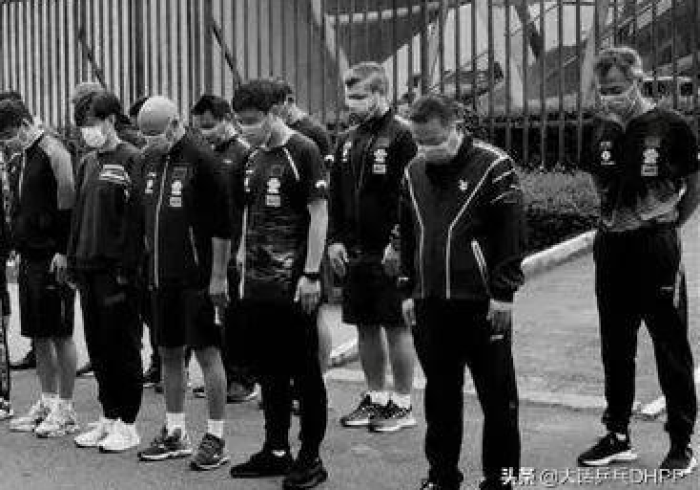 澳门疫情趋稳与沈阳动态清零,双城记中的中国抗疫逻辑 澳门疫情趋稳与沈阳动态清零,双城记中的中国抗疫逻辑