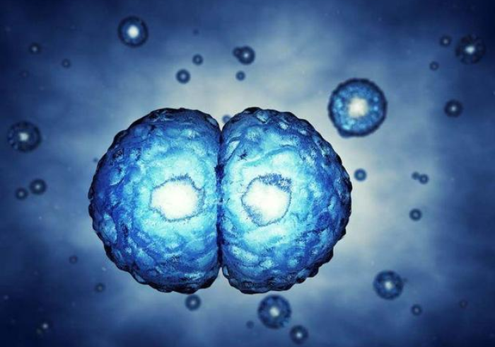 澳门新增新冠病例，小城再响防疫警钟，韧性社会如何应考？