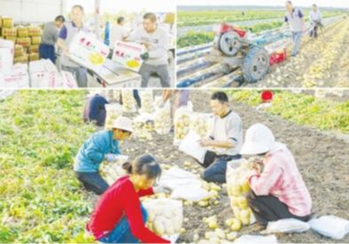 澳门关口,疫情下的国门与家园 澳门关口,疫情下的国门与家园