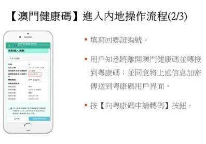 澳门健康码,通关背后的精密神经中枢 澳门健康码,通关背后的精密神经中枢