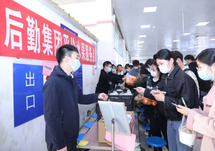 河南防疫硬核与合肥精准的无声较量,谁在守护我们的日常? 河南防疫硬核与合肥精准的无声较量,谁在守护我们的日常?