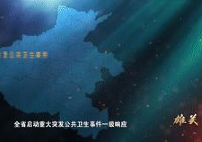 河南战疫,中原大地的坚韧防线与人民史诗 河南战疫,中原大地的坚韧防线与人民史诗