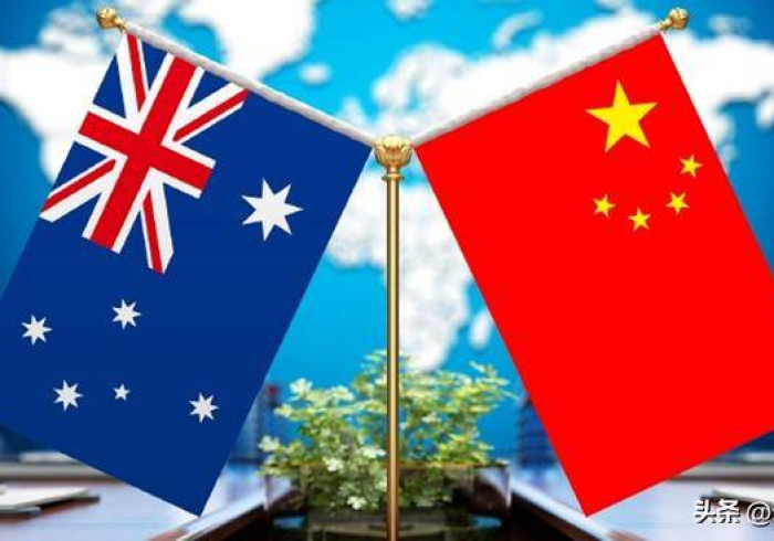 澳门抗疫密码,一国两制下的生命守护战 澳门抗疫密码,一国两制下的生命守护战