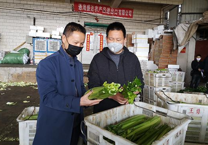 河南省疫情指挥部通告最新，精准防控下的中原担当