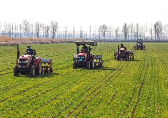 健康码下的麦田,河南疫情管控的治理辩证法 健康码下的麦田,河南疫情管控的治理辩证法