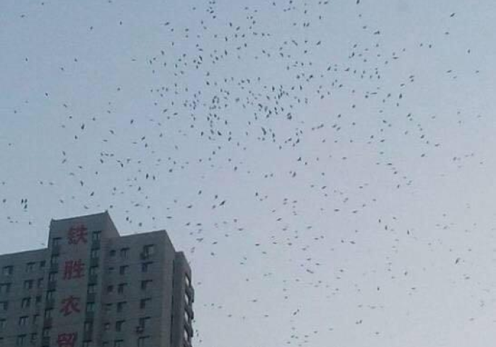 紧急通知!河南多地升级管控,沈阳深夜通报最新疫情,这个冬天我们如何过关? 紧急通知!河南多地升级管控,沈阳深夜通报最新疫情,这个冬天我们如何过关?