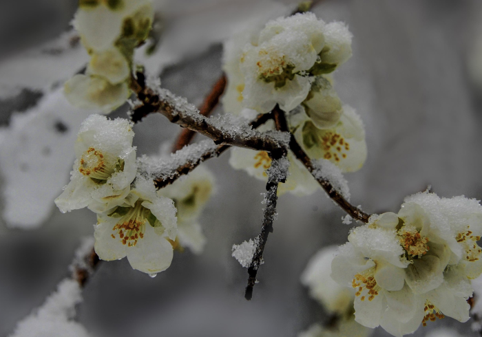 紧急通知!河南多地升级管控,沈阳深夜通报最新疫情,这个冬天我们如何过关? 紧急通知!河南多地升级管控,沈阳深夜通报最新疫情,这个冬天我们如何过关?
