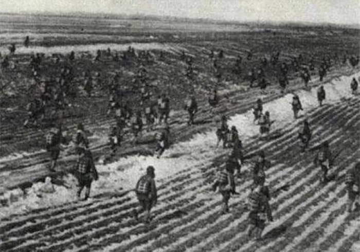 河南战疫,中原腹地的坚韧与突围 河南战疫,中原腹地的坚韧与突围