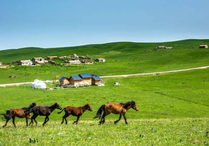 呼和浩特机场,草原门户的硬核防控,筑起北疆安全屏障 呼和浩特机场,草原门户的硬核防控,筑起北疆安全屏障