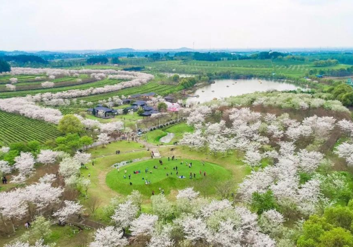南昌机场,疫情下的空中门户守卫战 南昌机场,疫情下的空中门户守卫战