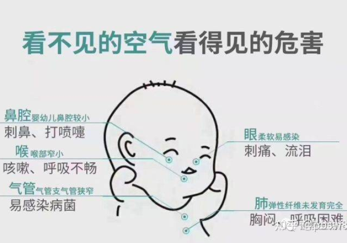 疫情下的生命线,天津至北京机场专线如何重塑京津冀的呼吸节奏 疫情下的生命线,天津至北京机场专线如何重塑京津冀的呼吸节奏